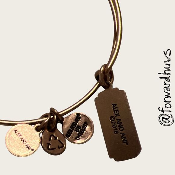 Bundle Sale 3 for $15 | ALEX AND ANI Love Charm Bangle - Picture 4 of 7